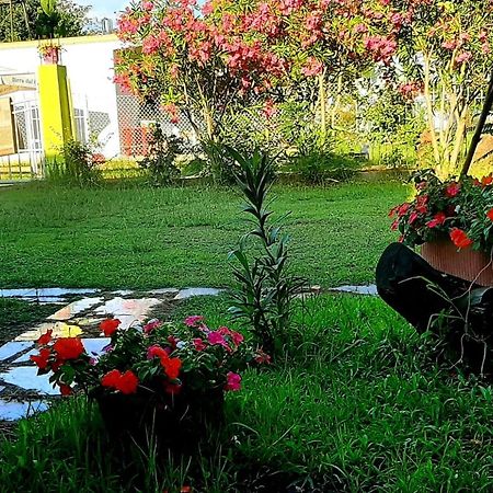 Kolonia E Artistave Apartment Velipoje Luaran gambar