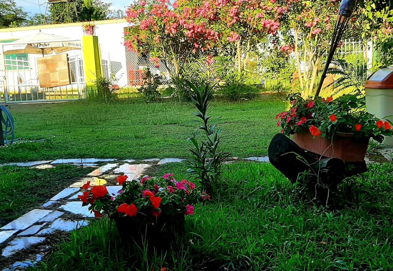 Kolonia E Artistave Apartment Velipoje Luaran gambar