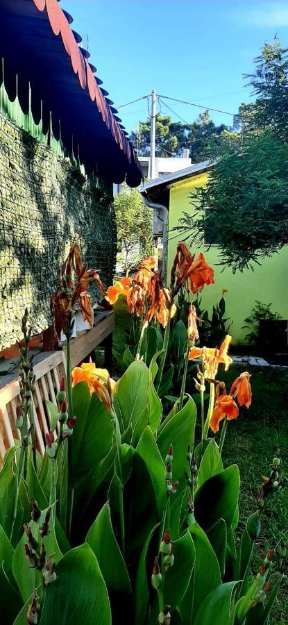 Kolonia E Artistave Apartment Velipoje Luaran gambar